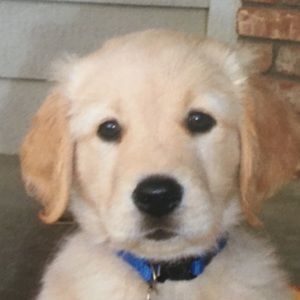 Meet your Posher, Ethan